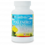 pollernergy-520-high-desert