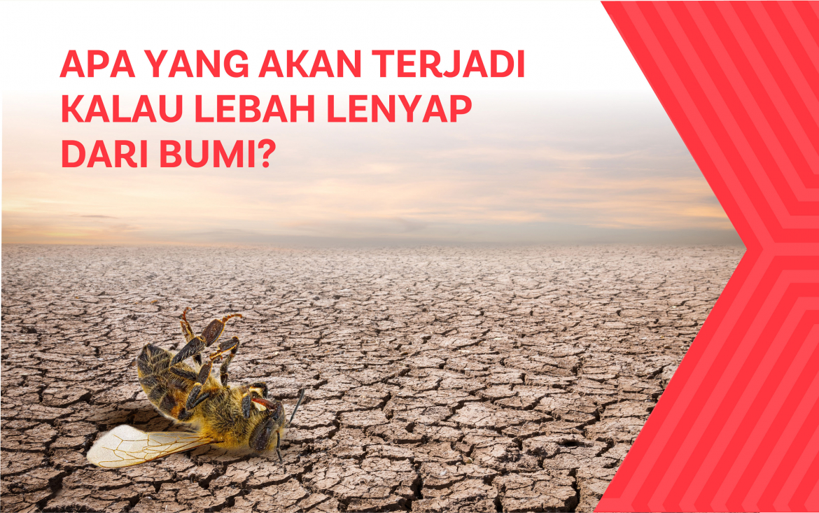 Apa Yang Akan Terjadi Kalau Lebah Lenyap dari Bumi?