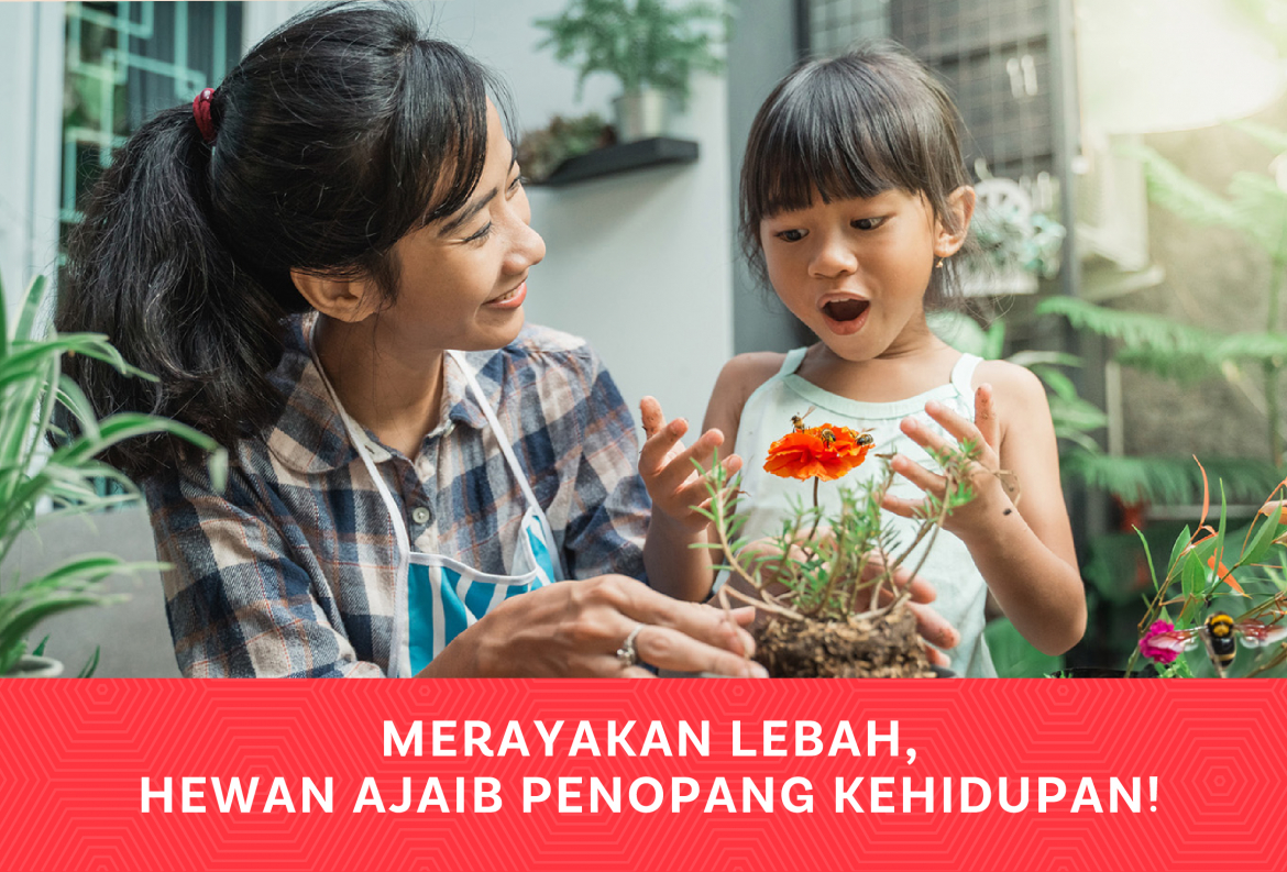 World Bee Day, Merayakan Keajaiban Lebah di Hidup Kita!