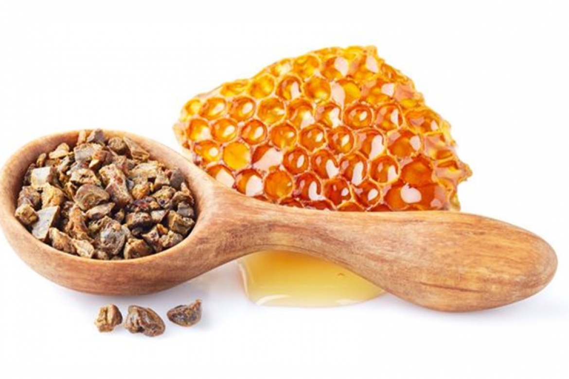 Manfaat Propolis untuk Imunitas Tubuh